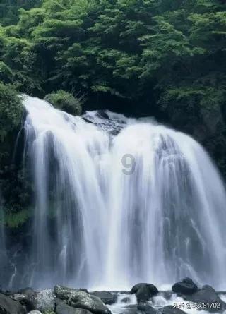 贵阳车务段春运预计发送旅客144万人 同比增长11.46%