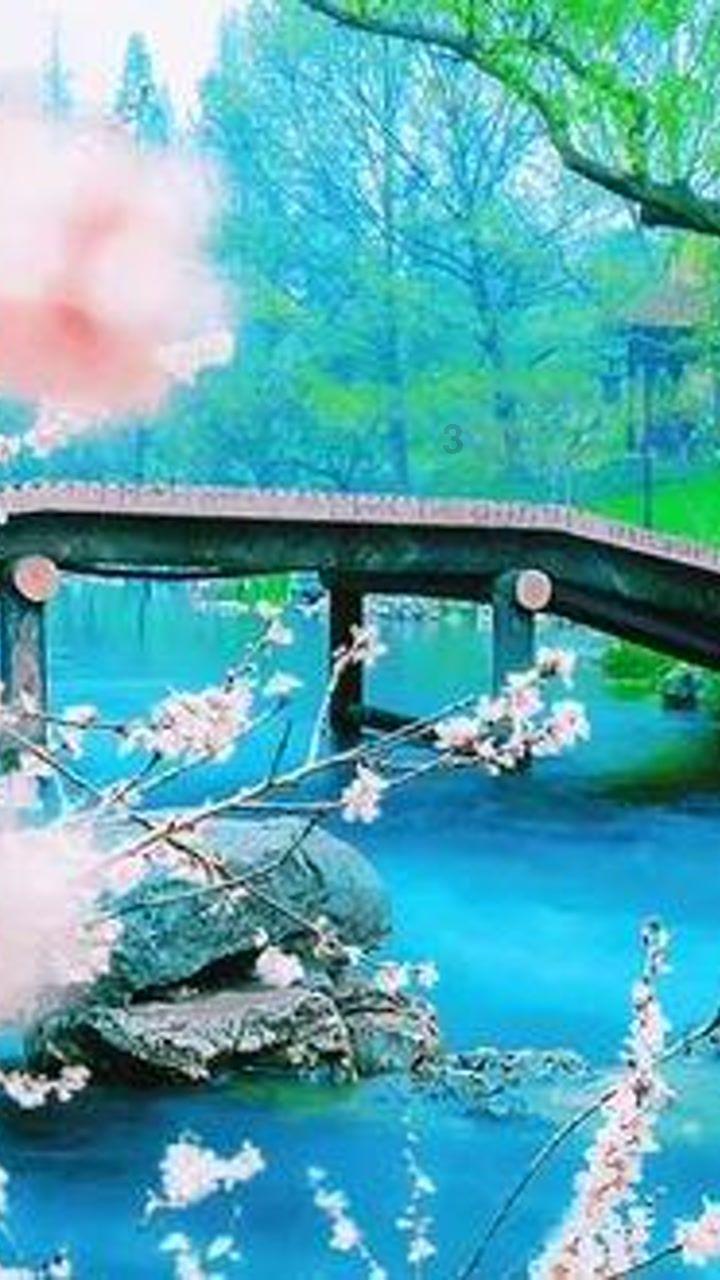 独步竹林